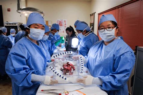 2016 Cardiothoracic Surgical Skills And Education Center Stanford Medicine