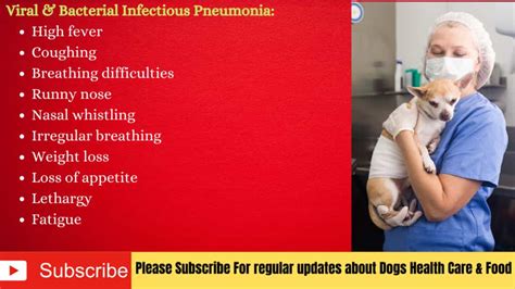 How Do Dogs Get Pneumonia Treatment Prevention Serve Dogs