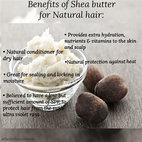 Shea Butter Benefits | Mango butter benefits, Shea butter benefits ...