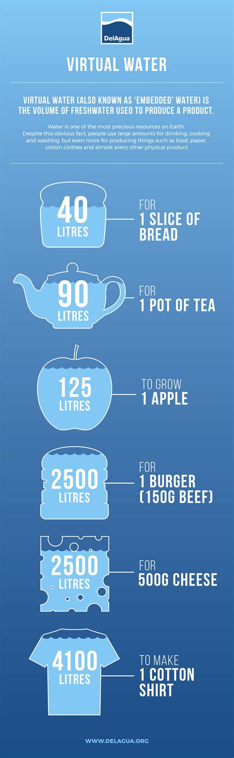 Water Facts Infographic