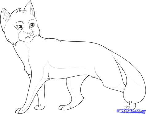 Warrior cat coloring pages to download and print for free