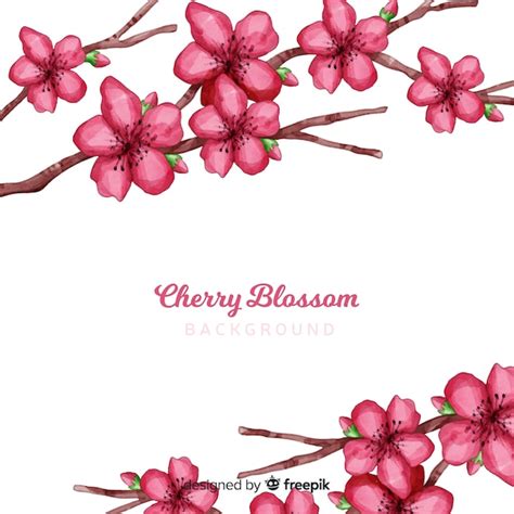 Free Vector Cherry Blossom