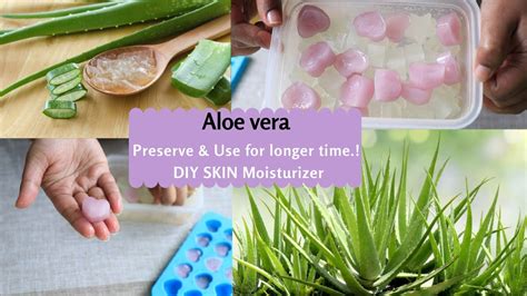 How To Store Aloe Vera Gel At Home For Long Time Homemade Diy Aloe