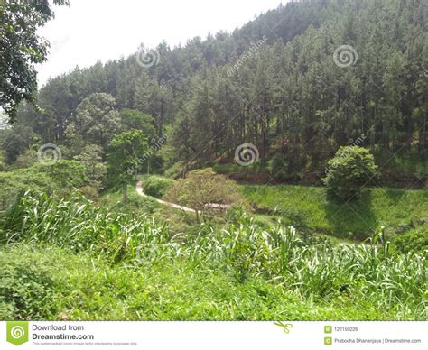 Mountain Side Natural Beauty Of Sri Lanka Stock Photo Image Of