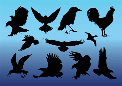 Free Birds Vectors Vector Art And Graphics