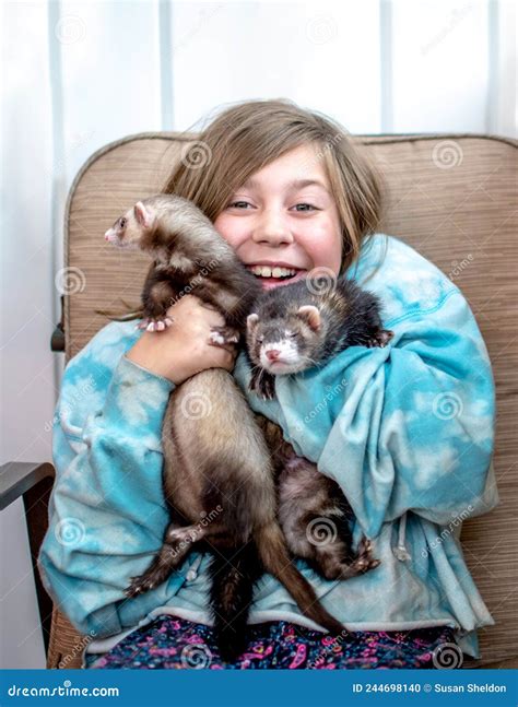 Young Pet Owner Holding Active Ferrets Stock Photo Image Of Ferret