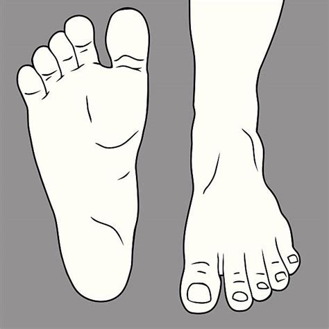 Best Human Foot Illustrations Royalty Free Vector Graphics And Clip Art