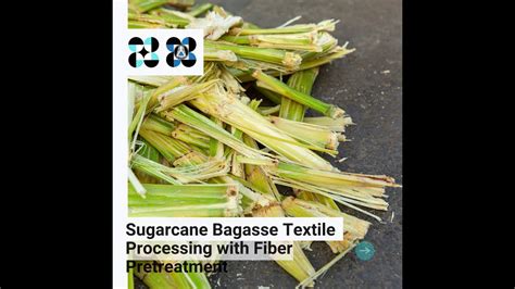 Sugarcane Bagasse Textile Processing With Fiber Pretreatment Youtube