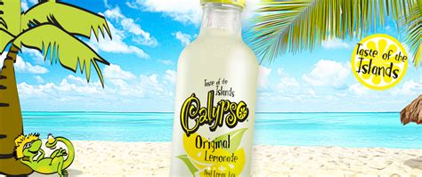 Calypso Unveils New Consumer Website
