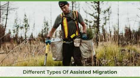 What Is Forest Assisted Migration Unity Environmental University