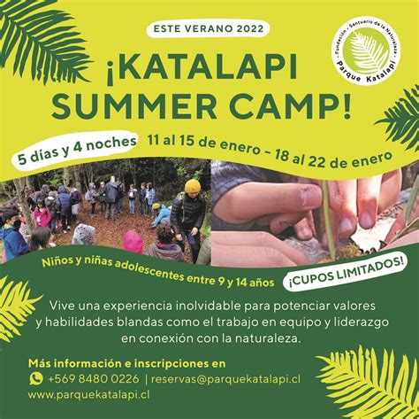 Campamentos De Verano Para Ni Os Y Adolescentes En Parque Katalapi