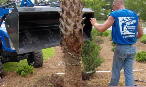 841 broad st, sumter, sc 29150, usa address. Specialty Services | Thames Lawn Care, Pressure Washing ...