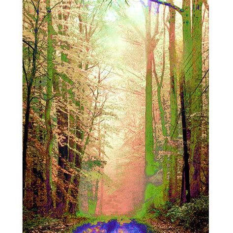 Fantasy Forest Digital Print Modern Art Photomontage