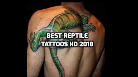 Reptile Tattoos Hd Best Reptile Tattoo Designs Youtube