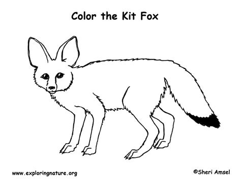 Fox Kit Coloring Page