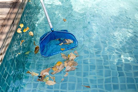 Benefits Of Hiring A Pool Cleaning Service