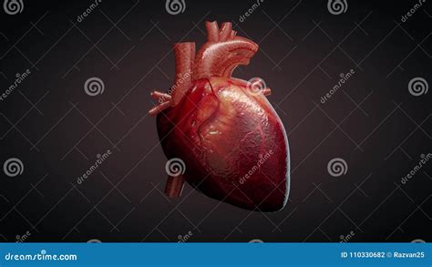 3d Animation Of A Beating Human Heart Stock Footage Video Of