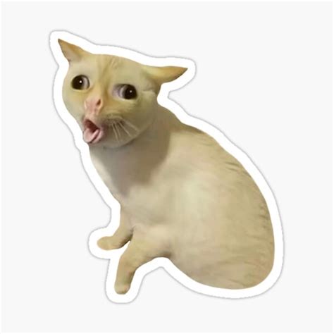 Crying Cat Stickers Redbubble
