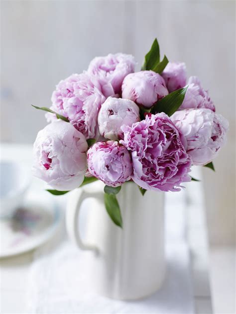 Name a place where many people would feel uncomfortable going without a date.(5 answers). Seven popular wedding flowers (and what they mean)