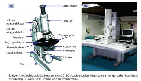 Fungsi Masing Masing Bagian Mikroskop Dan Cara Menggunakannya
