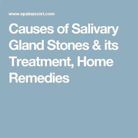 7 Best Salivary Glands Images On Pinterest Salivary Gland Stone