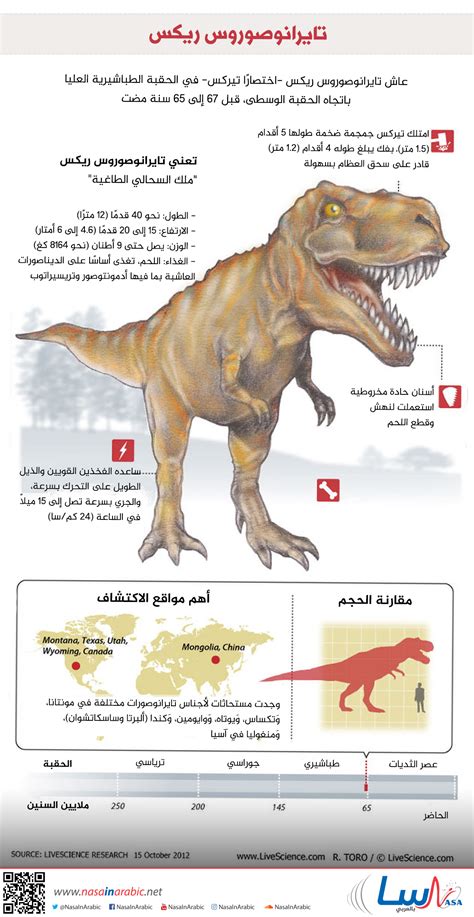 معلومات عن ديناصور التيركس