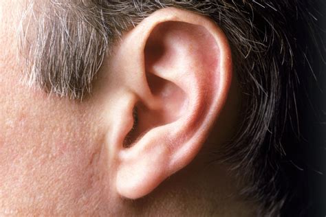 How Researchers Claim A Crease In Your Ear Could Indicate You Face A
