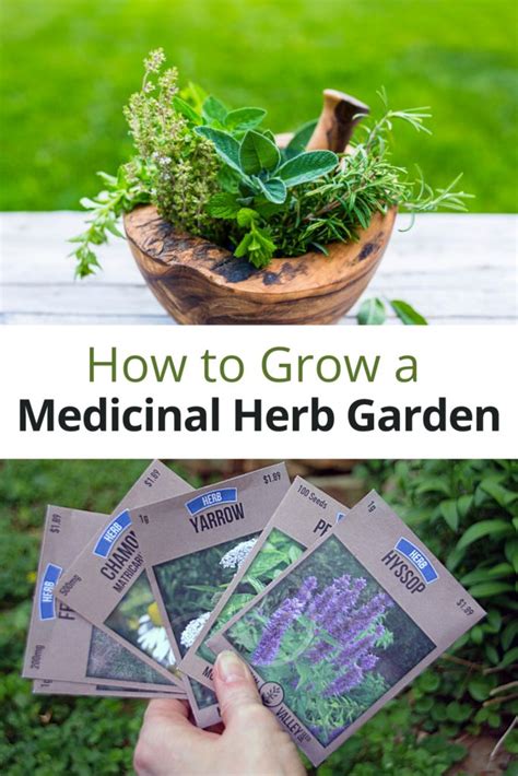 Tips For Growing A Medicinal Herb Garden Medicinal Herbs Garden