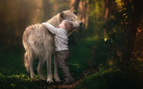 Little Boy Hugging A Wolf In Forest On Sunny Day Hd Wallpaper Wolf In
