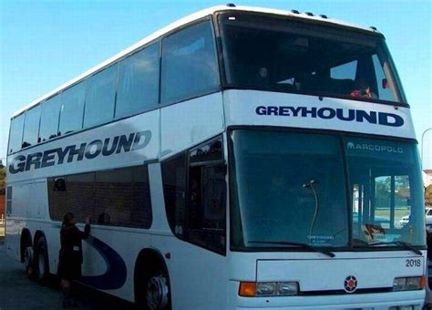 Greyhound Bus Bookings South Africa Greyhound Bus Greyhound Bus