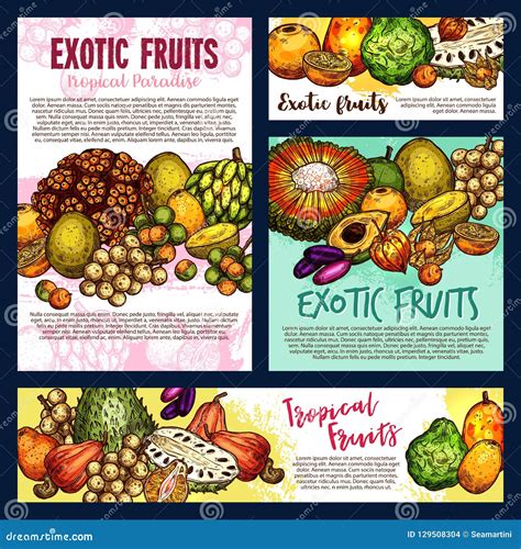Exotic Tropical Fruitsand Berries Vector Sketch Stock Vector