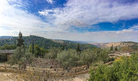 3 Must Visit Biblical Gardens What To See In Israel Omega Tours