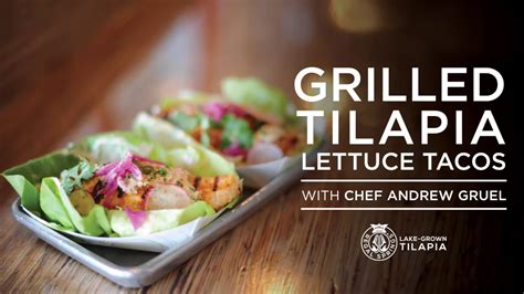 We did not find results for: Grilled Tilapia Lettuce Tacos Recipe by Andrew Gruel - YouTube