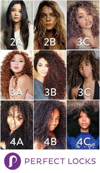 Hair Types Finding Your Texture Perfect Locks