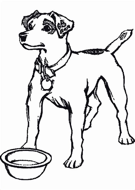 Hund bilder zum ausmalen
