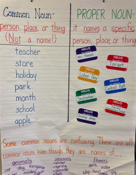 Anchor Chart Of A Noun