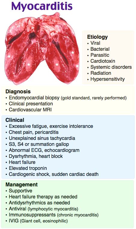 Myocarditis Diagnosis • Endomyocardial Biopsy Gold Grepmed