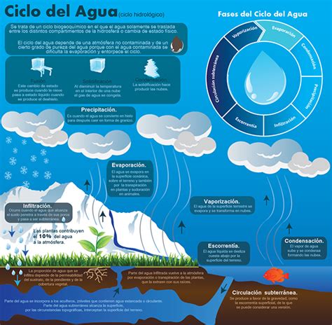 Infografía Ciclo Del Agua On Behance