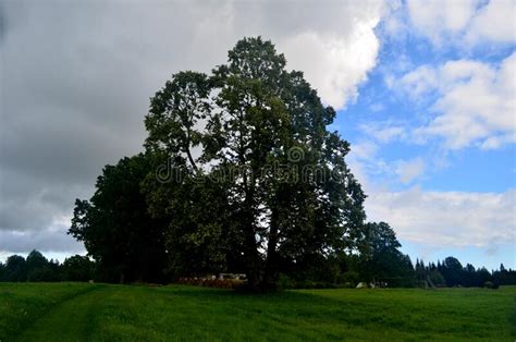Black Storm Clouds During Summer Landscape With Trees And Meadows In