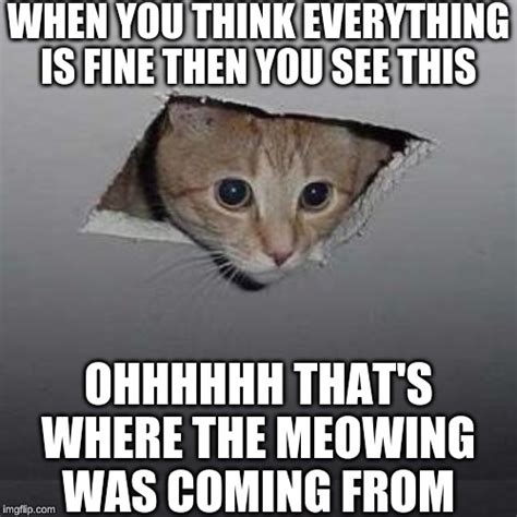 Ceiling Cat Meme Imgflip