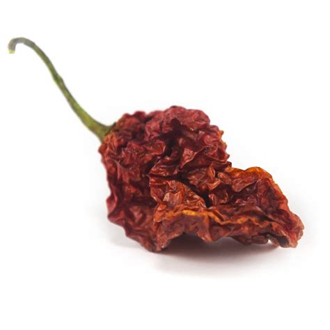 Dried Ghost Pepper Gram Exotic Chilli Plants Thailand