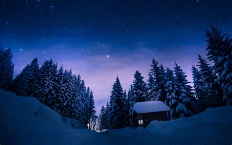 Sfondi Natura Inverno La Neve Notte Stelle Alberi Foresta