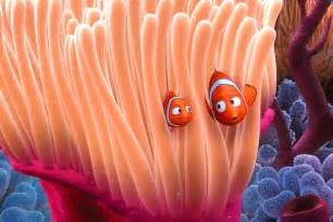 ‘finding Nemo Is A Hermaphroditic Lie Says Science