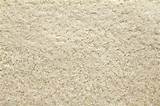 Pictures of Carpet Texture