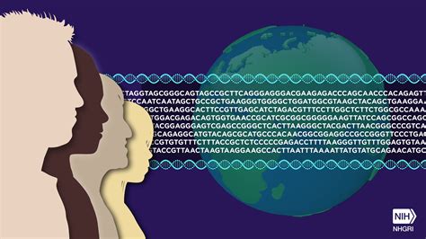 Il Doppio Anniversario Del Progetto Genoma Umano Aula Di Scienze