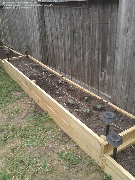 If your soil is alkaline and your plants need low ph, fill a raised bed with. Fence line garden - use of lights and the use of trellis ...