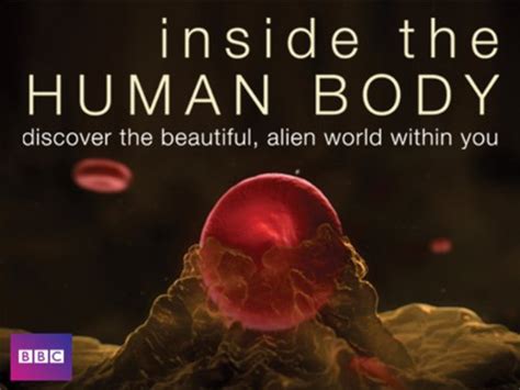 Download the perfect woman body pictures. Inside the Human Body (TV Series 2011- ) - IMDb