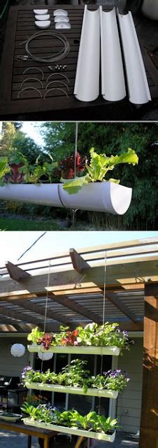 Sherry sun's veggie garden has all the usual edible suspects: My First Garden: 5 Innovative Indoor Apartment Gardening ...