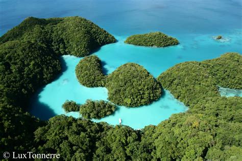 5 Reasons Why We Love Palau Marine Conservation Institute