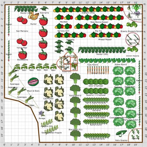 Planning Vegetable Garden Layout